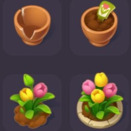 Plant & Harvest